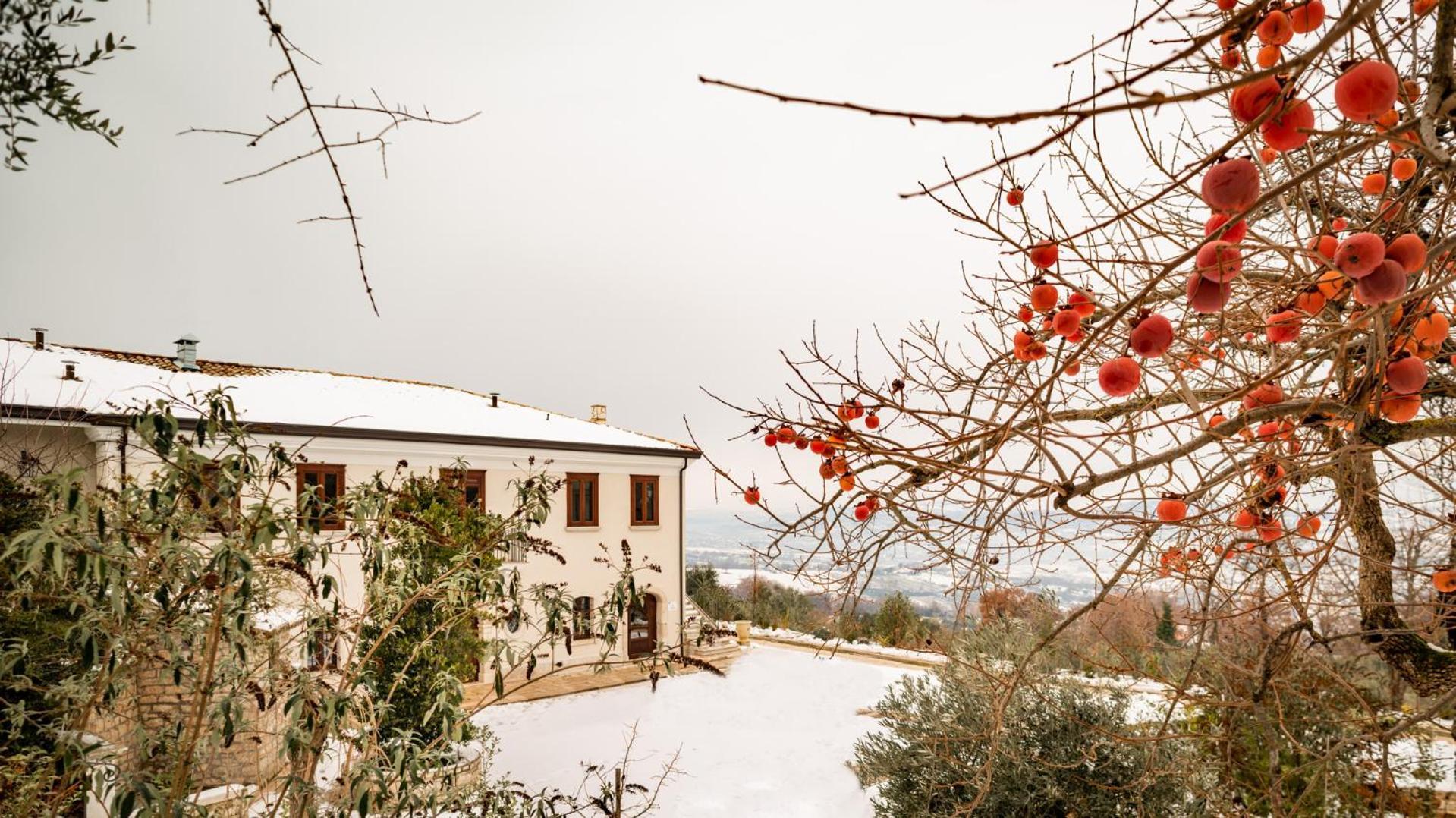 Il Mulino Della Signora Luxury Country House Frigento Экстерьер фото